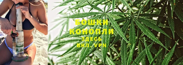 каннабис Алзамай