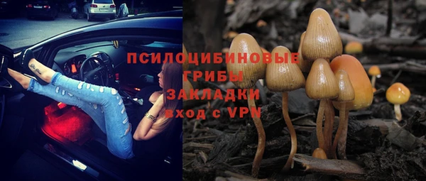 ALPHA PVP Алексин