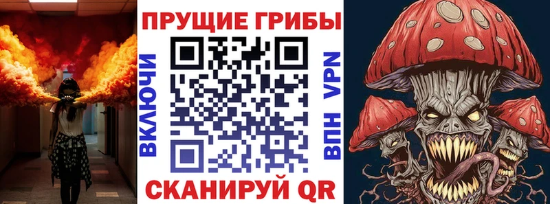 Галлюциногенные грибы GOLDEN TEACHER  Пыталово 