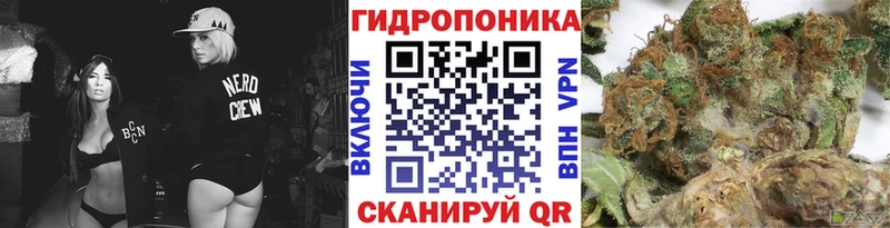 купить наркотик  Пыталово  Бошки Шишки LSD WEED 